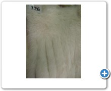 collection 5 Filettature e frange 126